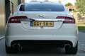 Jaguar XF 4.2 V8 SV8 Supercharged 426pk Schuifdak Youngtimer Wit - thumbnail 29