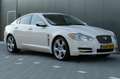 Jaguar XF 4.2 V8 SV8 Supercharged 426pk Schuifdak Youngtimer Wit - thumbnail 4
