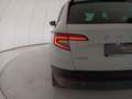 Skoda Karoq 2017 1.0 tsi Executive 110cv Blanc - thumbnail 11