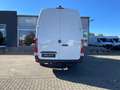 Mercedes-Benz Sprinter 319 CDI KA/MAXI/L3H2/MBUX/NAVI/AHK3,5t/KLIMA/4325 Weiß - thumbnail 4