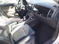 Skoda Kodiaq Kodiaq 2.0 TDI EVO SCR DSG 7 posti Laurin&Klement Gris - thumbnail 4