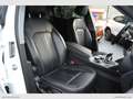 Alfa Romeo Stelvio 2.2 T.diesel 210 CV AT8 Q4 Exec. Weiß - thumbnail 32