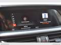 Alfa Romeo Stelvio 2.2 T.diesel 210 CV AT8 Q4 Exec. Weiß - thumbnail 26