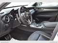 Alfa Romeo Stelvio 2.2 T.diesel 210 CV AT8 Q4 Exec. Bianco - thumbnail 12