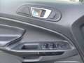 Ford EcoSport 1.0 EcoBoost 125 CV Start&Stop Titanium Grigio - thumbnail 15