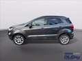 Ford EcoSport 1.0 EcoBoost 125 CV Start&Stop Titanium Grigio - thumbnail 11