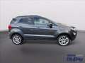 Ford EcoSport 1.0 EcoBoost 125 CV Start&Stop Titanium Grigio - thumbnail 4