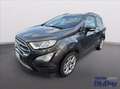 Ford EcoSport 1.0 EcoBoost 125 CV Start&Stop Titanium Grigio - thumbnail 1
