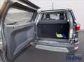 Ford EcoSport 1.0 EcoBoost 125 CV Start&Stop Titanium Grigio - thumbnail 13