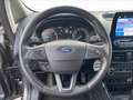 Ford EcoSport 1.0 EcoBoost 125 CV Start&Stop Titanium Grigio - thumbnail 6