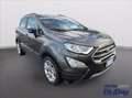 Ford EcoSport 1.0 EcoBoost 125 CV Start&Stop Titanium Grigio - thumbnail 3