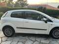 Fiat Punto Evo Punto III 2009 Evo 3p 1.2 Dynamic s Bianco - thumbnail 2