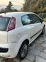Fiat Punto Evo Punto III 2009 Evo 3p 1.2 Dynamic s Bianco - thumbnail 3