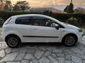 Fiat Punto Evo Punto III 2009 Evo 3p 1.2 Dynamic s Bianco - thumbnail 11