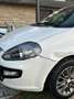 Fiat Punto Evo Punto III 2009 Evo 3p 1.2 Dynamic s Bianco - thumbnail 5