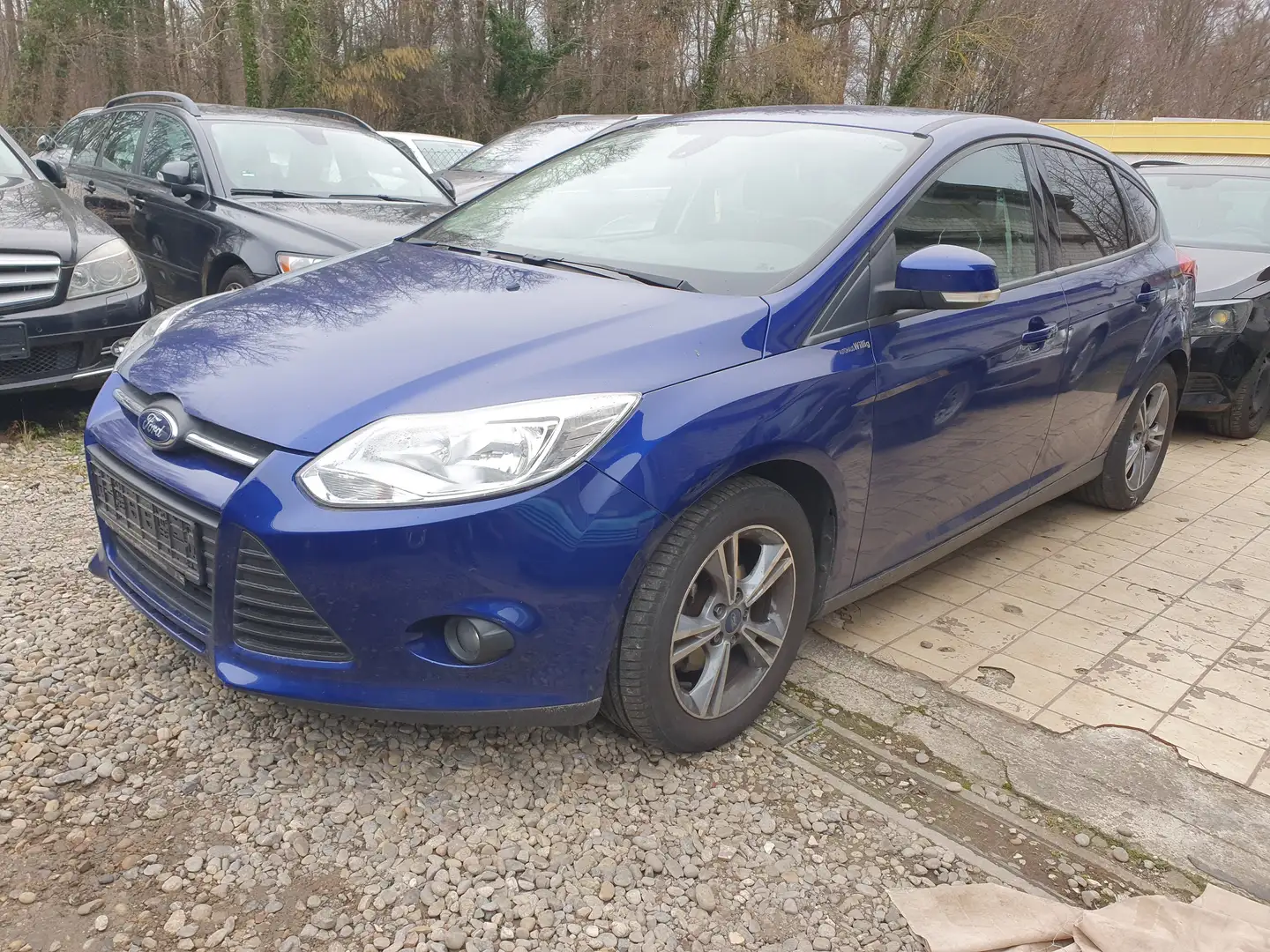 Ford Focus Sync Edition Klima Alu Blau - 1