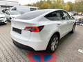Tesla Model Y Long Range Dual AWD *1. HAND*AHK*MWST Weiß - thumbnail 10