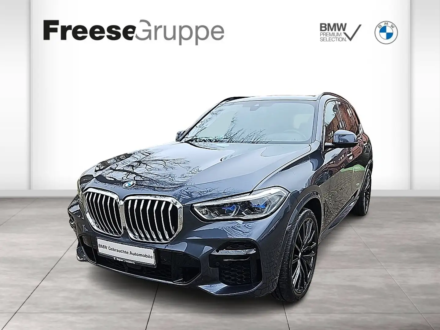 BMW X5 xDrive40d M Sportpaket Gestiksteuerung HiFi Gris - 1