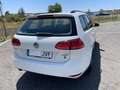 Volkswagen Golf Variant 1.6TDI CR BM Business 110 Blanco - thumbnail 32
