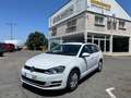 Volkswagen Golf Variant 1.6TDI CR BM Business 110 Blanco - thumbnail 5
