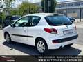 Peugeot 206 + Basis Klima 5-Sitz. Alb - thumbnail 10