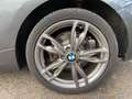 BMW 116 3-trg. M-Paket i-Drive Klima PDC SHZ Grau - thumbnail 11