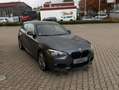 BMW 116 3-trg. M-Paket i-Drive Klima PDC SHZ Gris - thumbnail 6