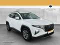 Hyundai TUCSON 1.6 T-GDi Hybrid Select 4WD Automatik AUT Blanc - thumbnail 1