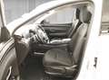 Hyundai TUCSON 1.6 T-GDi Hybrid Select 4WD Automatik AUT Blanc - thumbnail 7