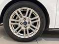 Ford Tourneo Courier 1.0 Ecoboost Ambiente Blanco - thumbnail 25