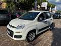 Fiat Panda Panda 1.0 firefly hybrid Icon s Weiß - thumbnail 1
