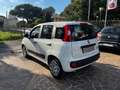 Fiat Panda Panda 1.0 firefly hybrid Icon s Weiß - thumbnail 4