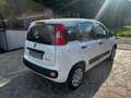 Fiat Panda Panda 1.0 firefly hybrid Icon s Weiß - thumbnail 6