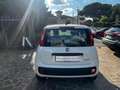 Fiat Panda Panda 1.0 firefly hybrid Icon s Weiß - thumbnail 5