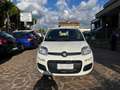 Fiat Panda Panda 1.0 firefly hybrid Icon s Weiß - thumbnail 2
