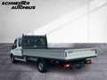 Ford Transit Pritsche 2.0 350 L4 7 Sitze Doppelkabine Alb - thumbnail 5