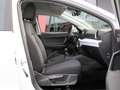SEAT Ibiza 1.0 TSI Style FULL LINK SHZ PDC PDC SHZ White - thumbnail 2