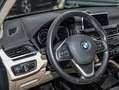 BMW X1 sDrive20i  xLine RFK NAVI LED PDC V+H DAB LM Grau - thumbnail 19