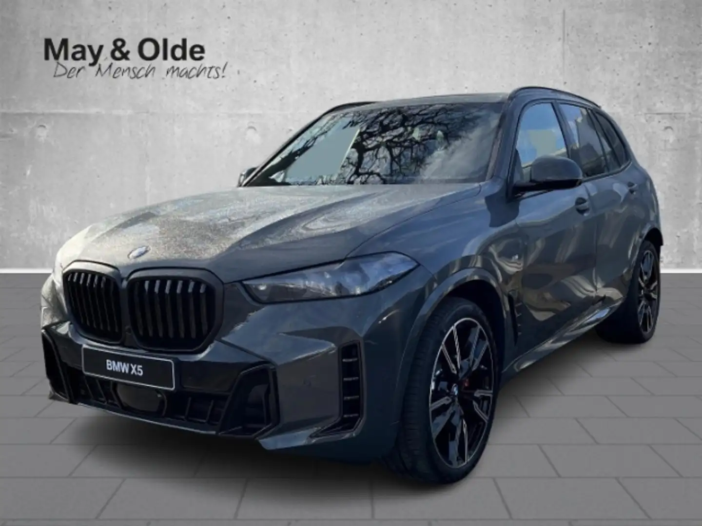 BMW X5 xDrive 30d Sportpaket HUD AD StandHZG AHK-klappbar Gris - 1