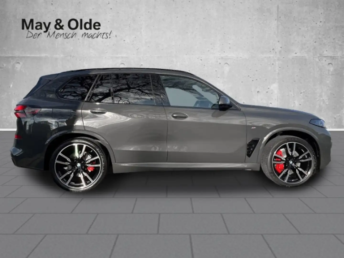 BMW X5 xDrive 30d Sportpaket HUD AD StandHZG AHK-klappbar Gris - 2