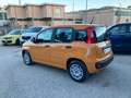 Fiat Panda Panda 1.0 FireFly S&S Hybrid 10.000KM !!! Arancione - thumbnail 5
