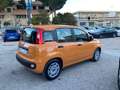 Fiat Panda Panda 1.0 FireFly S&S Hybrid 10.000KM !!! Arancione - thumbnail 7
