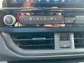 Ford Tourneo Custom 2.0 Ecoblue L1 Sport! Grau - thumbnail 23