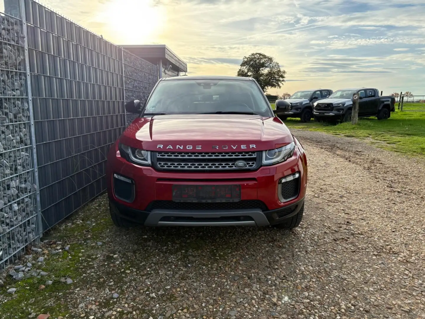 Land Rover Range Rover Evoque 2.0 Td4 SE Leder Keyless Kamera Rot - 2