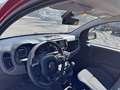 Fiat Panda 1.0 FireFly 70cv S&S Hybrid Cross Rosso - thumbnail 8