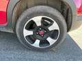 Fiat Panda 1.0 FireFly 70cv S&S Hybrid Cross Rosso - thumbnail 14