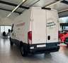 Iveco Daily Kasten HKa35S13 Radst.3520*L1H2*RFK*Klima Wit - thumbnail 6