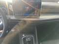 Volkswagen Golf Goal 1,5 l TSI OPF 85 kW (116 PS) 6 -Gang Noir - thumbnail 15
