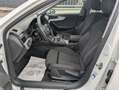 Audi A4 Avant 35 TDI S line*Kamera*Navi*LED*AHK* Weiß - thumbnail 13