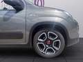 Fiat Panda 1,0 FireFly Hybrid Grau - thumbnail 21